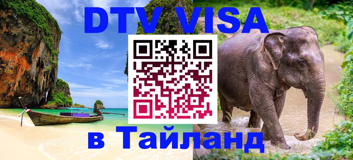 Оформление DTV визы под ключ: стоимость и тарифы, только загранпаспорт - 